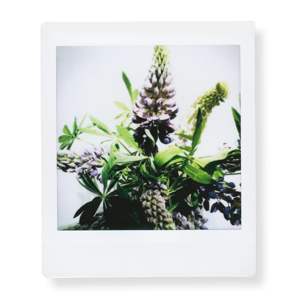 Fujifilm Instax Square Film Wh - Instant Film Pack review and price