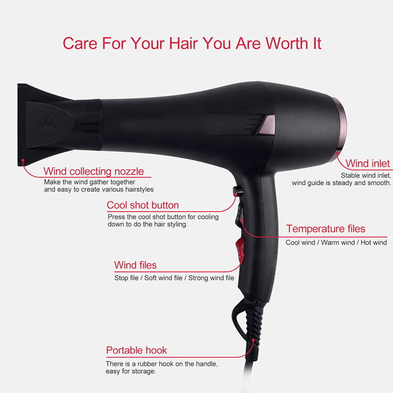 US,EU High Speed Hair Dryer Vi - Vintage Collectibles And More review and price